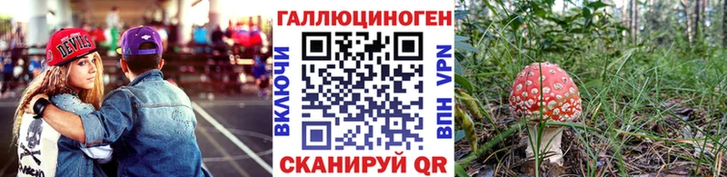 Псилоцибиновые грибы GOLDEN TEACHER  Циолковский 